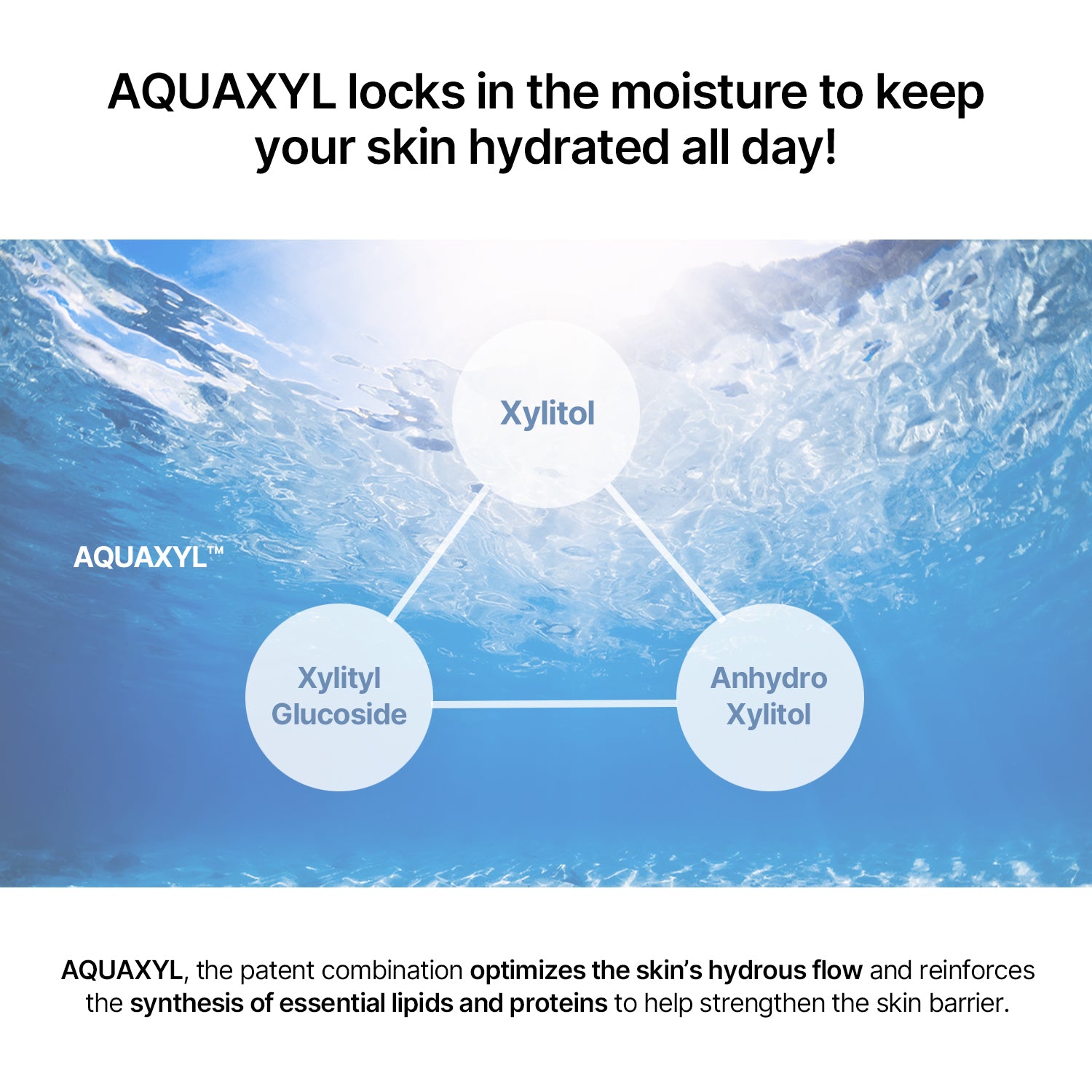 The Real Sedum Aqua Boosting Essence (150ml)